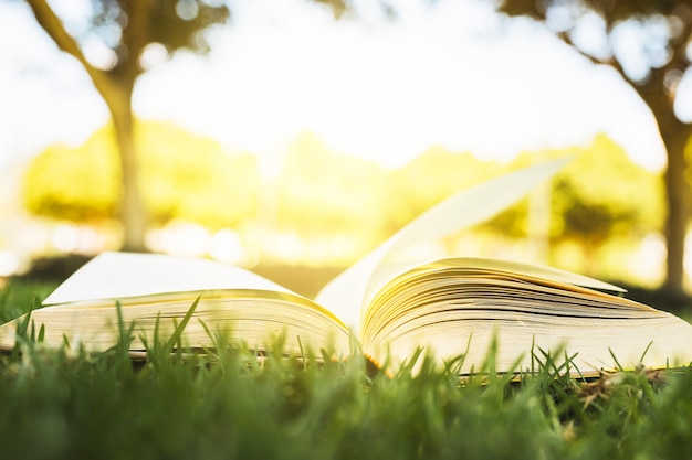 Free photo opened book on green grass in sunlight