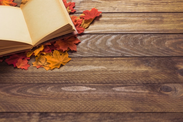 Free photo opened book on heap of leaves