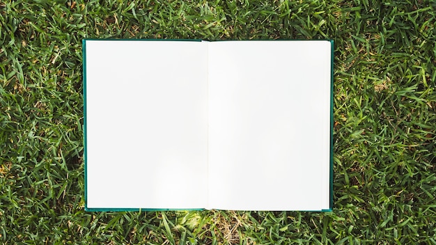 Opened notebook placed on green grass
