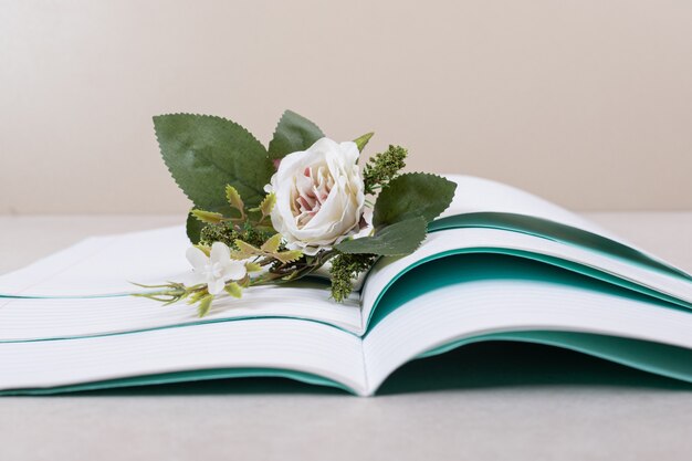 Opened notebooks with fake rose on beige background. High quality photo