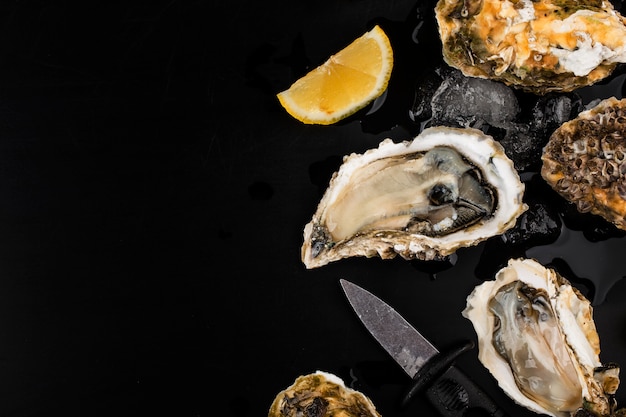 Free photo opened oysters, ice and lemon on a black surface