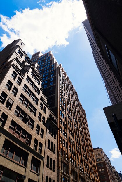 Opposite high rise buildings up view in perspective