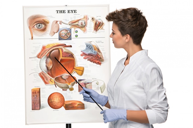 眼科医または眼科医の女性が目の構造について話す