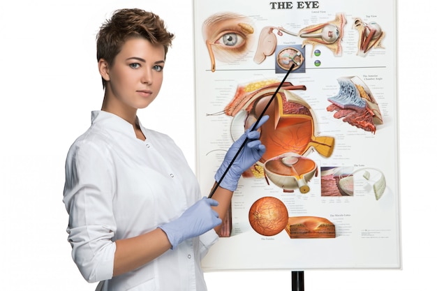 無料写真 眼科医または眼科医の女性が目の構造について話す