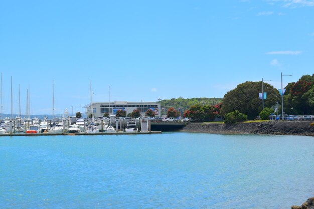 Orakei Marina and Royal Akarana Yacht Club