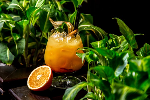 Orange cocktail with mint side view