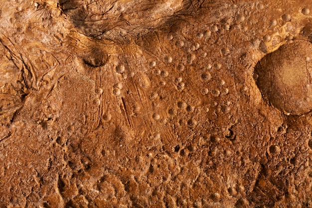 Orange details of moon texture concept
