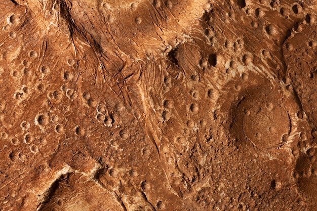 Orange details of moon texture concept