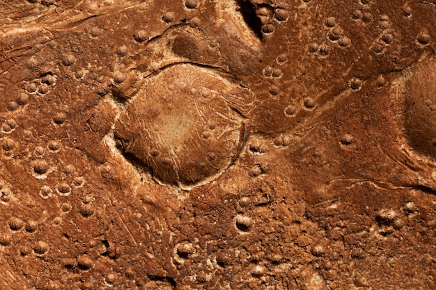Free Photo orange details of moon texture concept