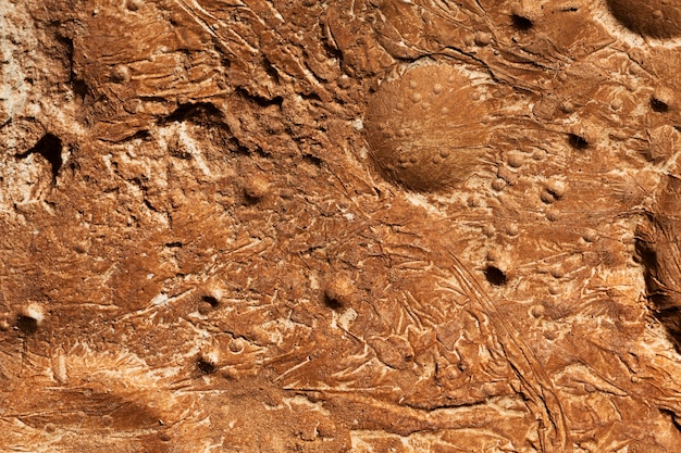 Foto gratuita dettagli arancioni del concetto di texture lunare