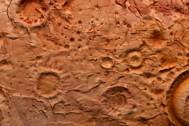 Orange details of moon texture concept