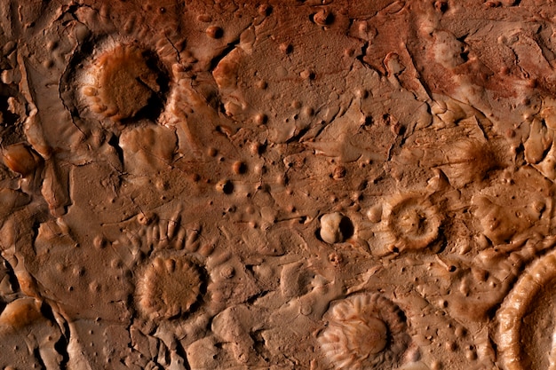 Free Photo orange details of moon texture concept