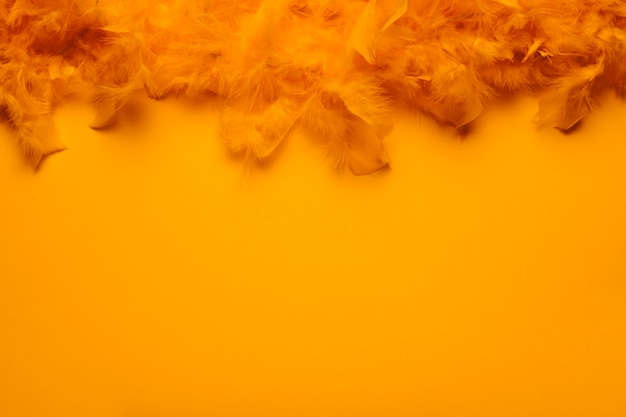 Боа из оранжевых перьев с копией пространства