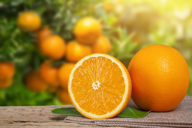 Апельсин из сада.