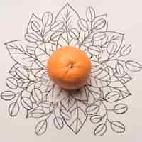 Free photo orange fruit over outline floral background