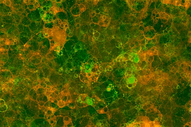 Free photo orange and green bubble art on green background abstract style