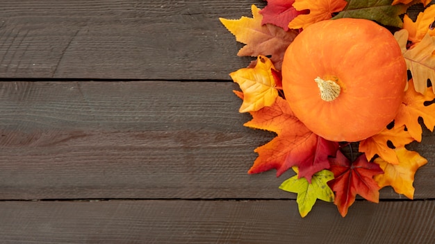 Orange pumpkin on colorful leaves with copy space