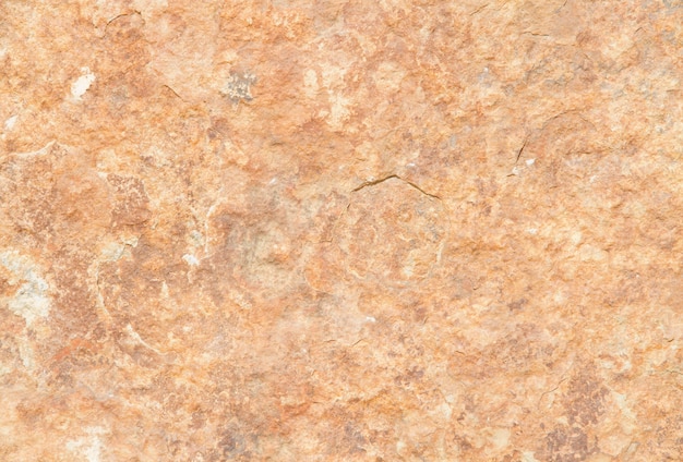 Orange stone texture