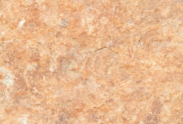 Orange stone texture