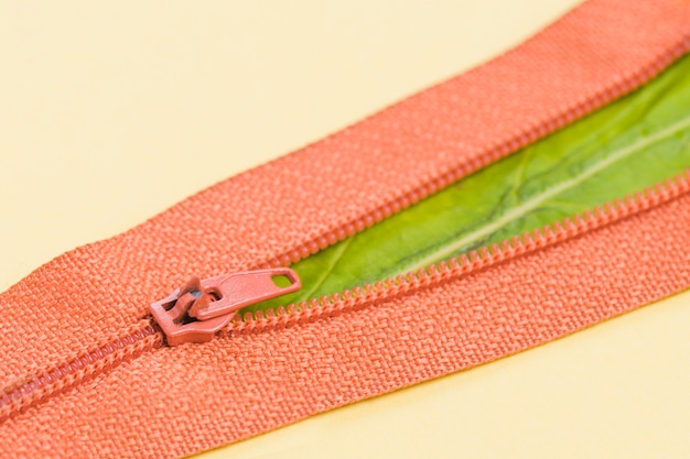 Orange zip with a leaf inside