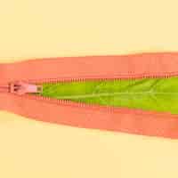 Free photo orange zip with a leaf inside