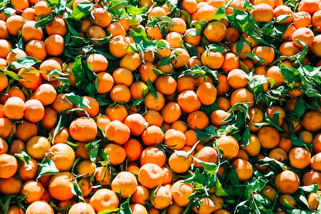 마라케시에서 시장에 오렌지