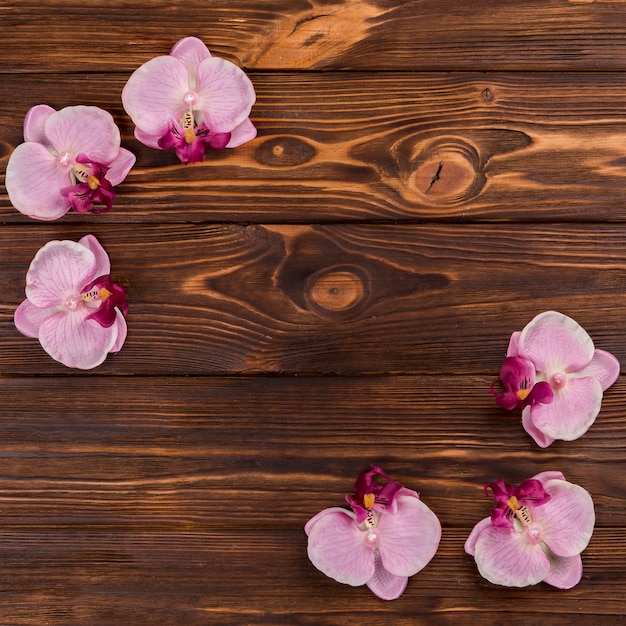 Orchids on wooden tabletop