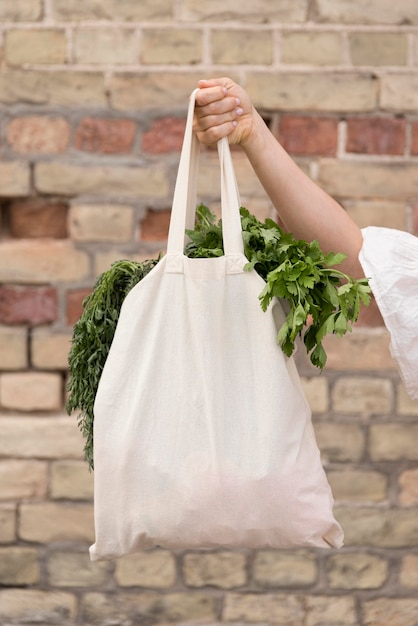 Organic bag with parley and dill