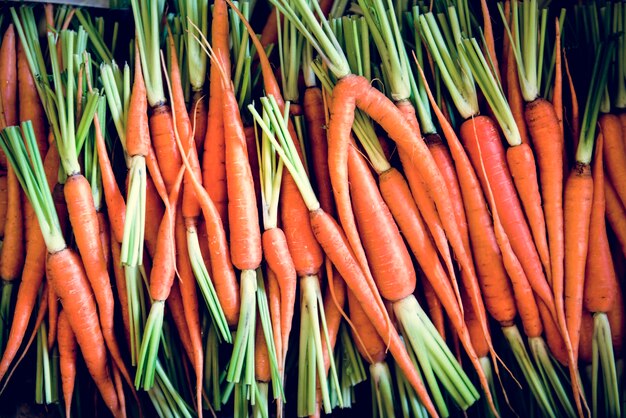 Organic carrot natural food freshness