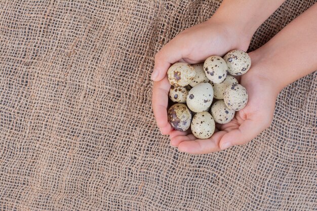 Organic eggs in the hand of a man.