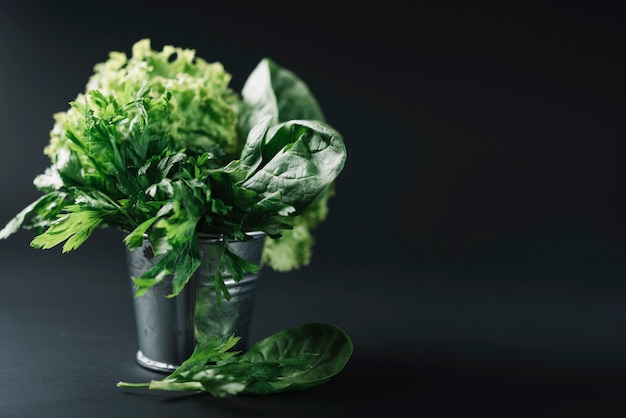 Organic leafy vegetables in bucket on black background