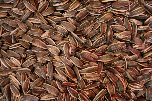 Organic sunflower seeds background