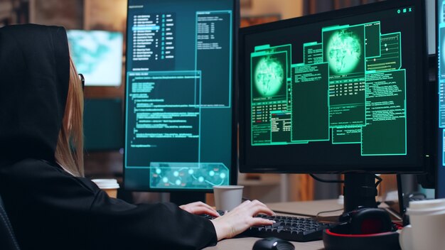 Организованная женщина-хакер и ее команда крадут информацию с правительственного сервера с помощью суперкомпьютеров.