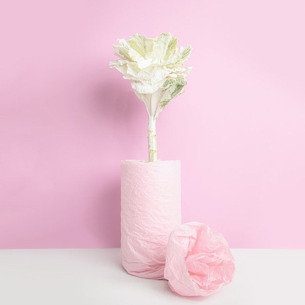 Free photo ornamental cabbage in a vase, wrapped with pink paper on pink wall