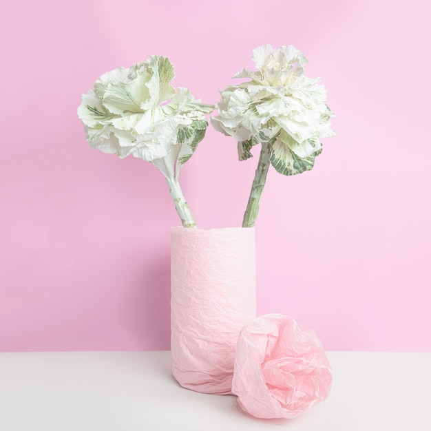 Ornamental cabbage in a vase, wrapped with pink paper on pink wall