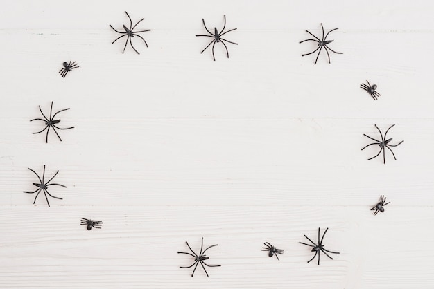 Free Photo ornamental spiders arranged in circle