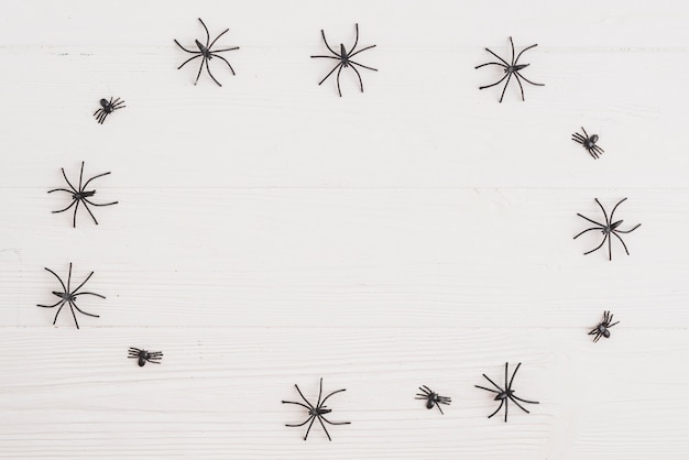 Бесплатное фото Орнаментные пауки расположены по кругу
