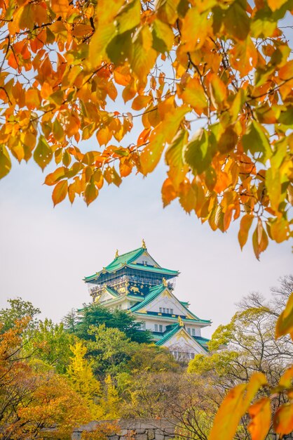 Osaka castle in Osaka Japan