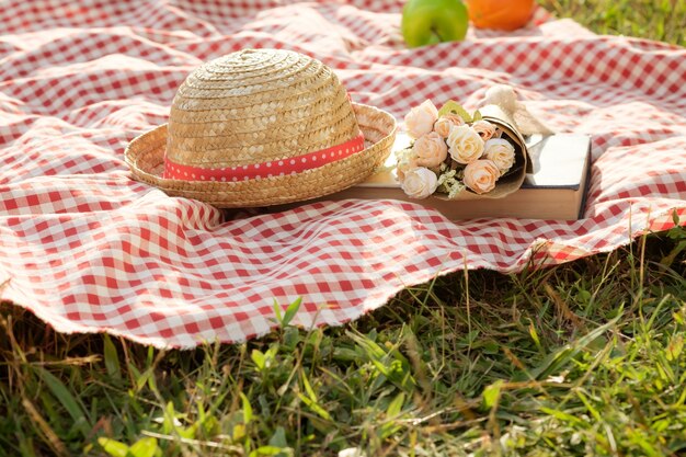 Outdoor picnic at the summer sunny day