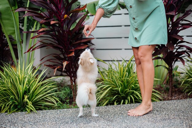 Outdoor portrait of curly european tanned woman holds happy pet dog pomeranian spitz