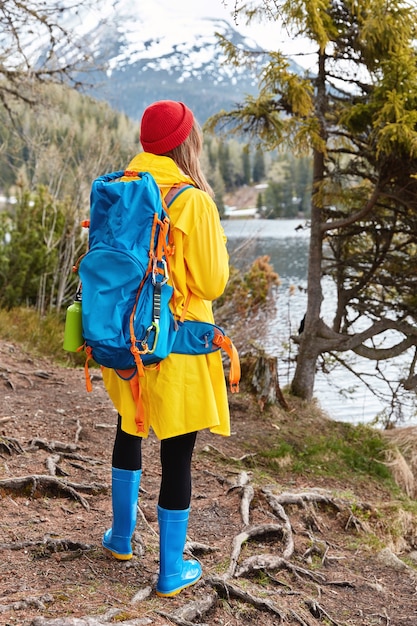 Outdoor shot of female tourist with backpack stands back, walks in coniferous forest