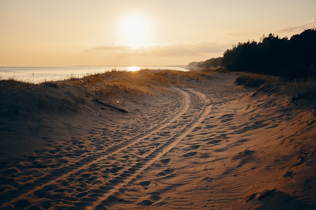 Открытый летний портрет следов шин на песчаном пляже с розоватым небом, морем и деревьями. Безлюдный пляж с четырьмя следами от покрышек. Природа, отдых, море и путешествия