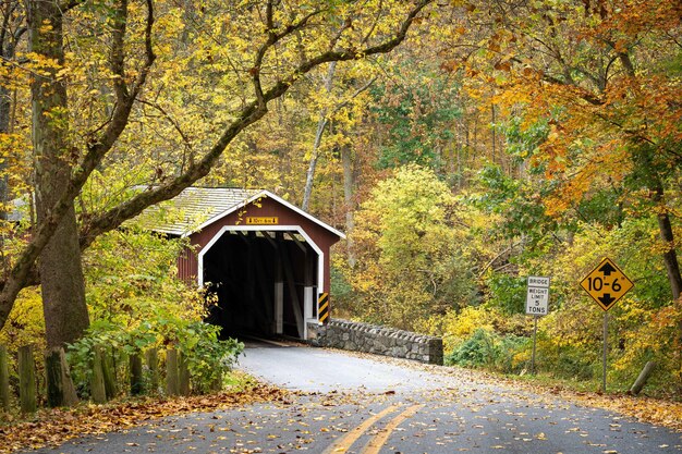 Outdoor view of the red covered bridge inside of the forest in the daytime