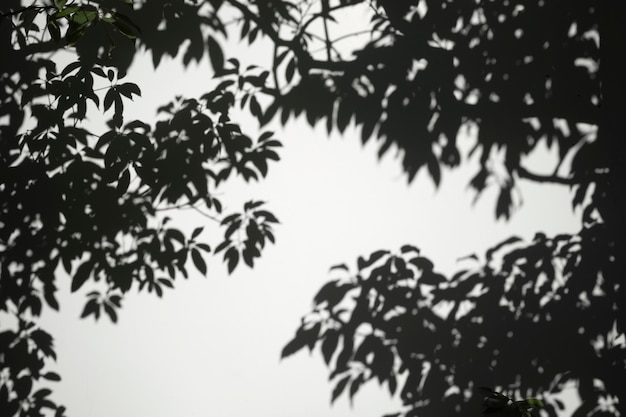 Outdoors abstract shadow in daytime