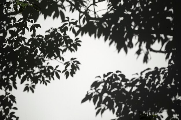 outdoors abstract shadow in daytime