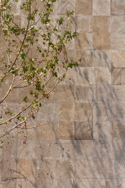 Стена на открытом воздухе с различными листьями
