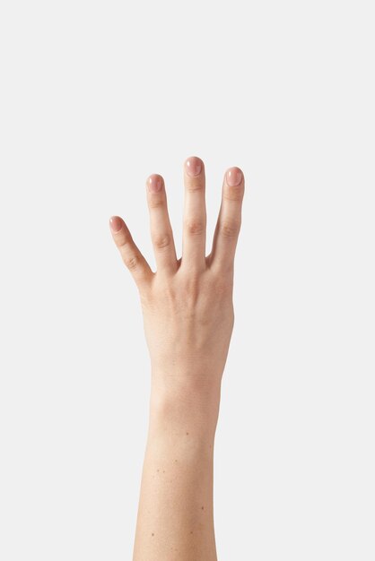 Outer hand counting on fingers four