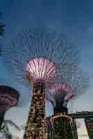 Foto gratuita outside gardens by the bay a singapore