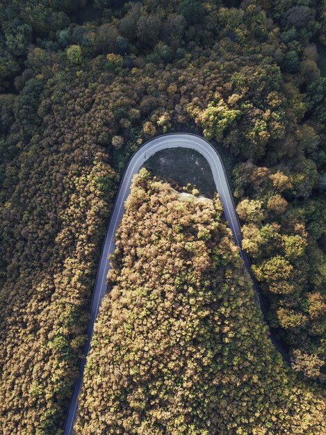 Overhead aerial shot of a curved road in the forest hills