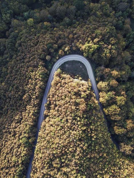 Overhead aerial shot of a curved road in the forest hills